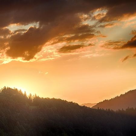 Gostilna Pension Blegos Poljane nad Škofjo Loko Zewnętrze zdjęcie
