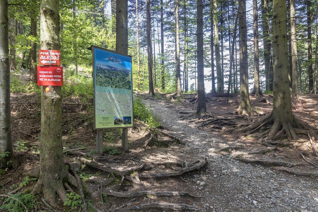 Gostilna Pension Blegos Poljane nad Škofjo Loko Zewnętrze zdjęcie