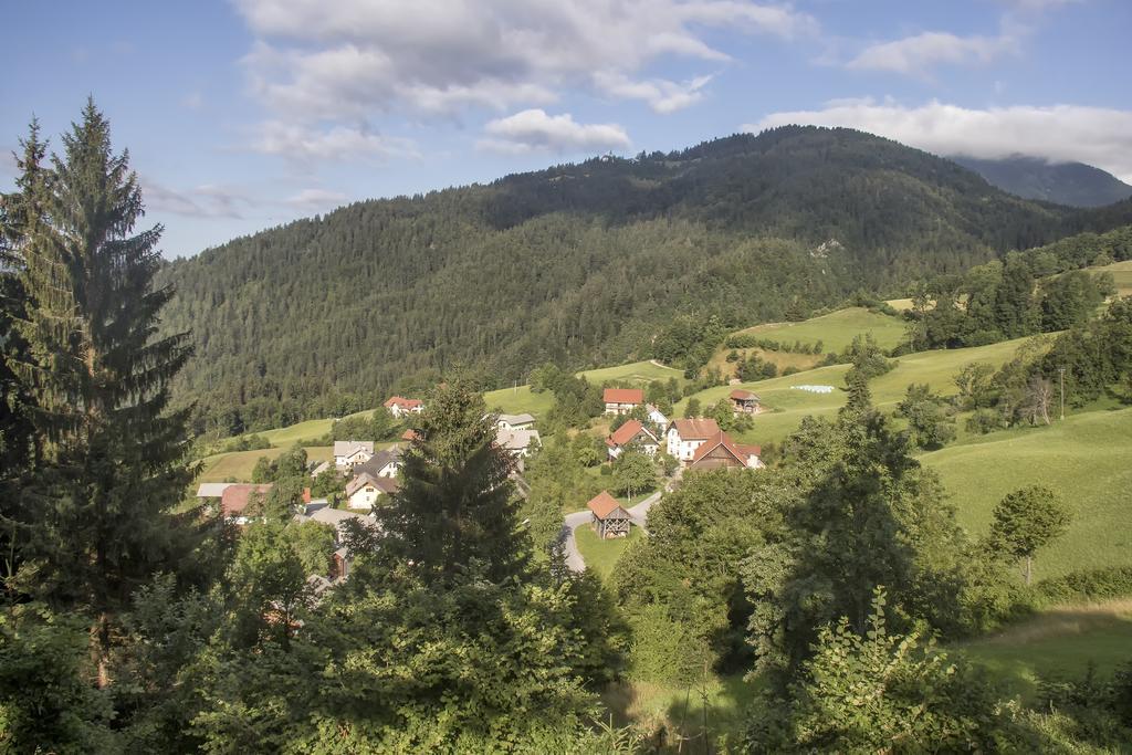 Gostilna Pension Blegos Poljane nad Škofjo Loko Zewnętrze zdjęcie