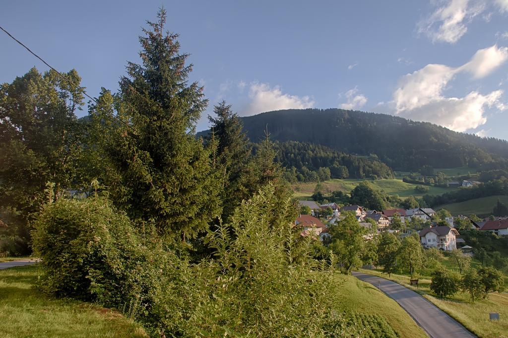 Gostilna Pension Blegos Poljane nad Škofjo Loko Zewnętrze zdjęcie