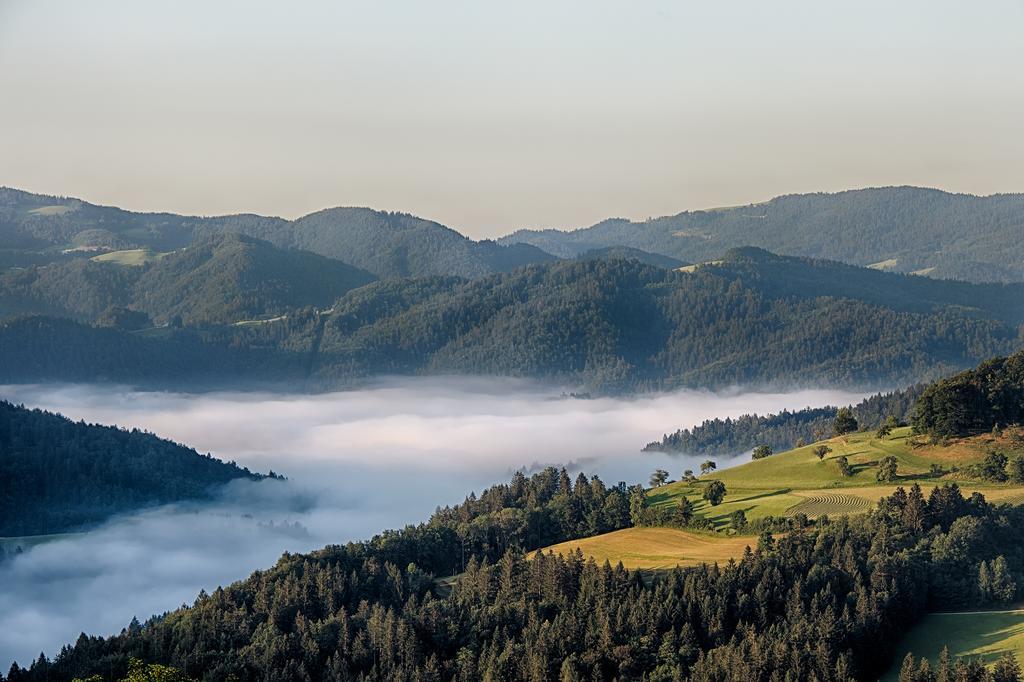 Gostilna Pension Blegos Poljane nad Škofjo Loko Zewnętrze zdjęcie