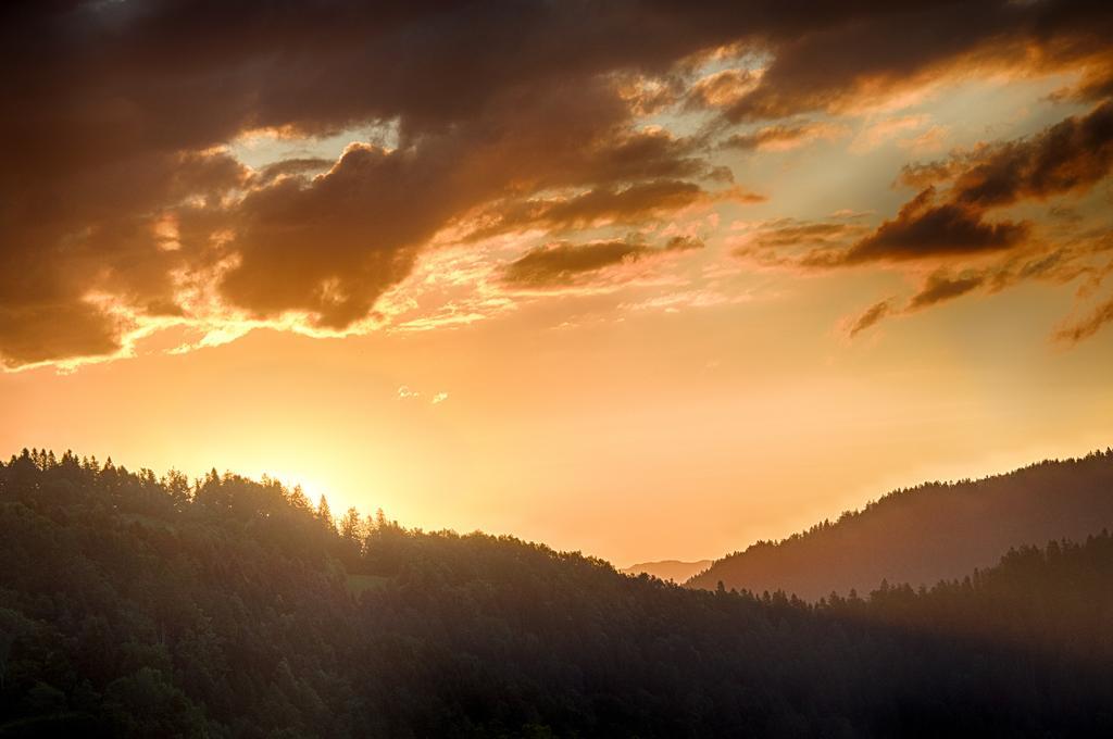 Gostilna Pension Blegos Poljane nad Škofjo Loko Zewnętrze zdjęcie