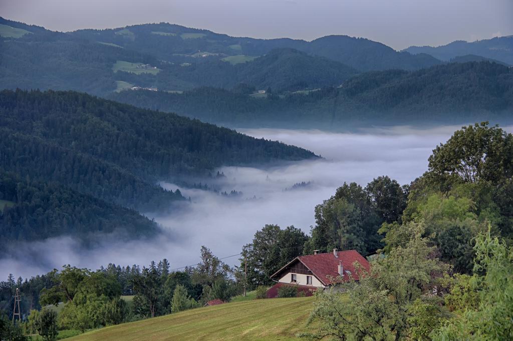Gostilna Pension Blegos Poljane nad Škofjo Loko Zewnętrze zdjęcie