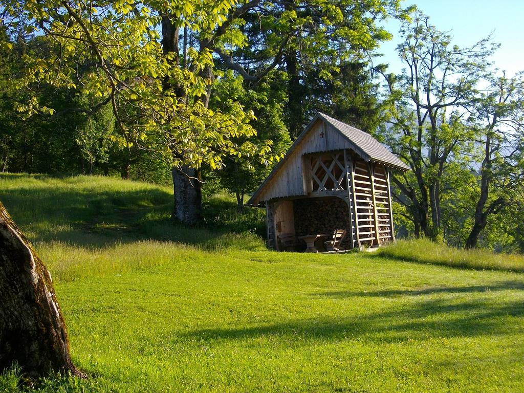Gostilna Pension Blegos Poljane nad Škofjo Loko Zewnętrze zdjęcie